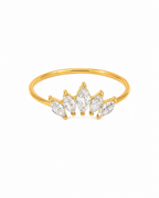 Anillo Lunix