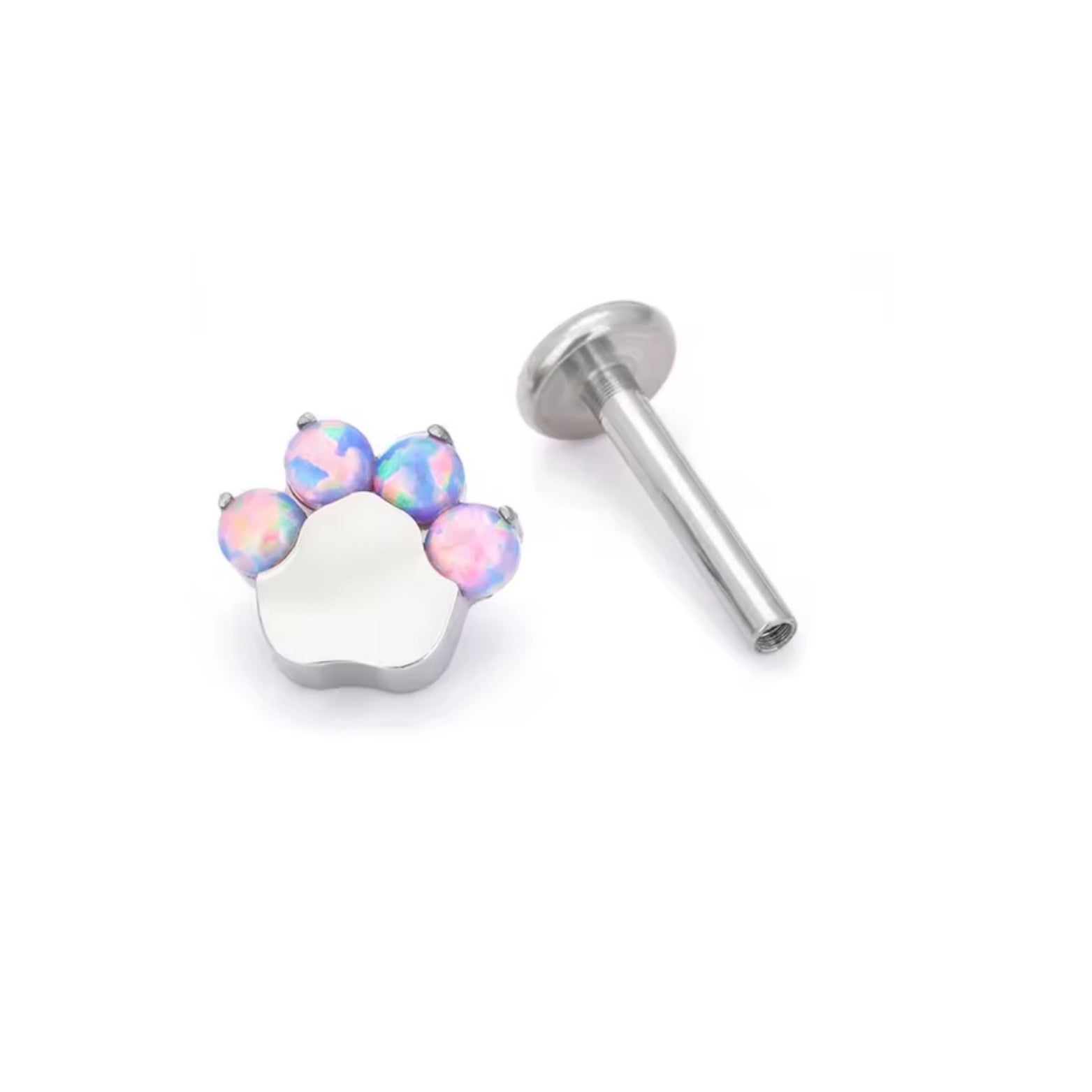 Piercing Amy