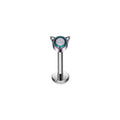 Piercing Felina