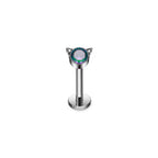 Piercing Felina