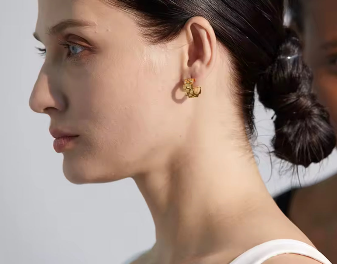 Aretes Zareen