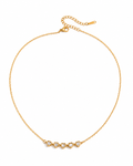 Collar Coly