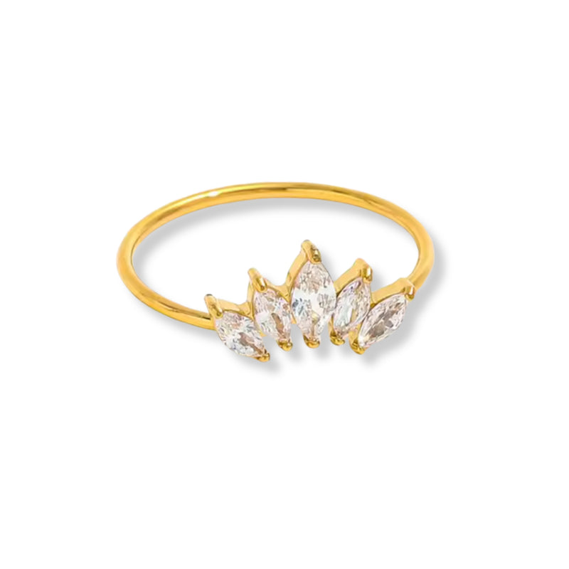 Anillo Lunix