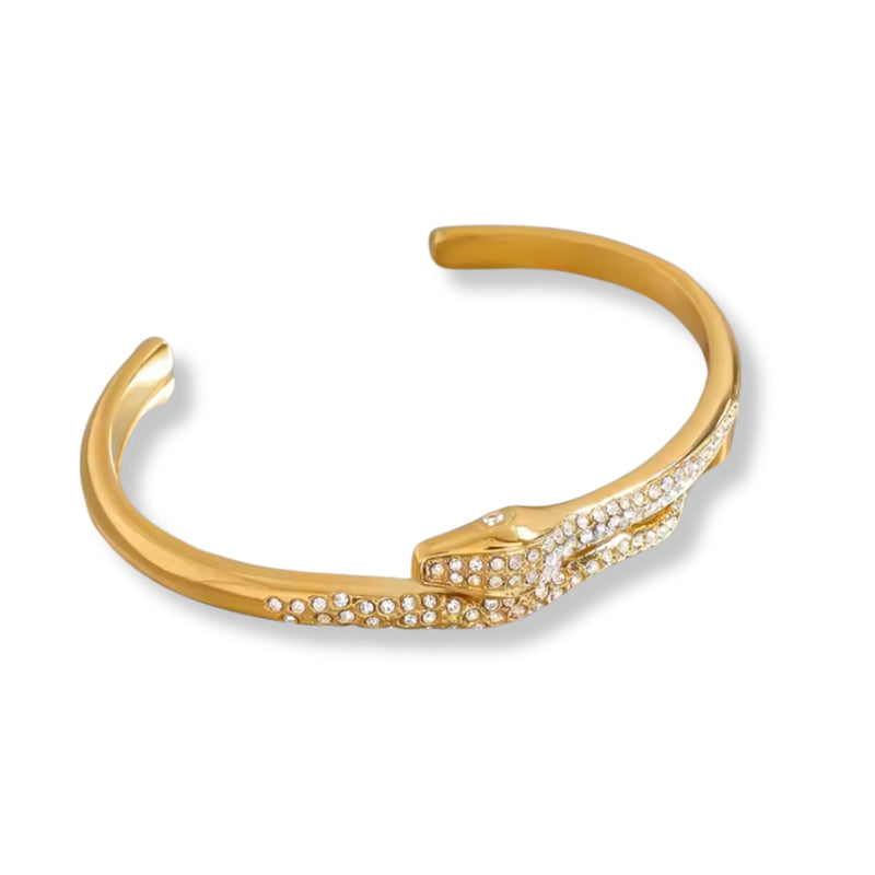 Brazalete Aurelis