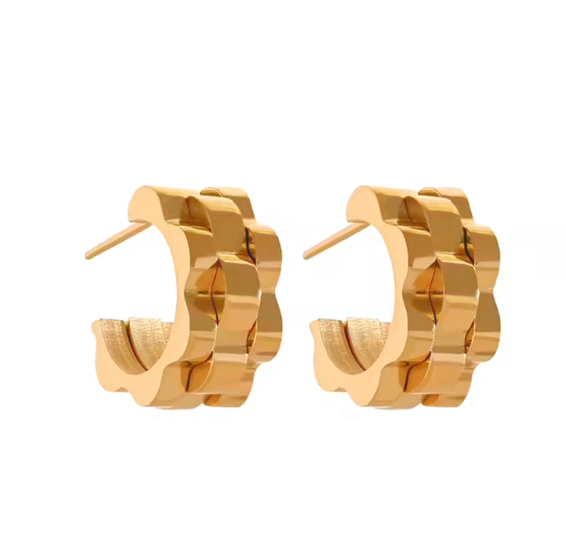 Aretes Zareen
